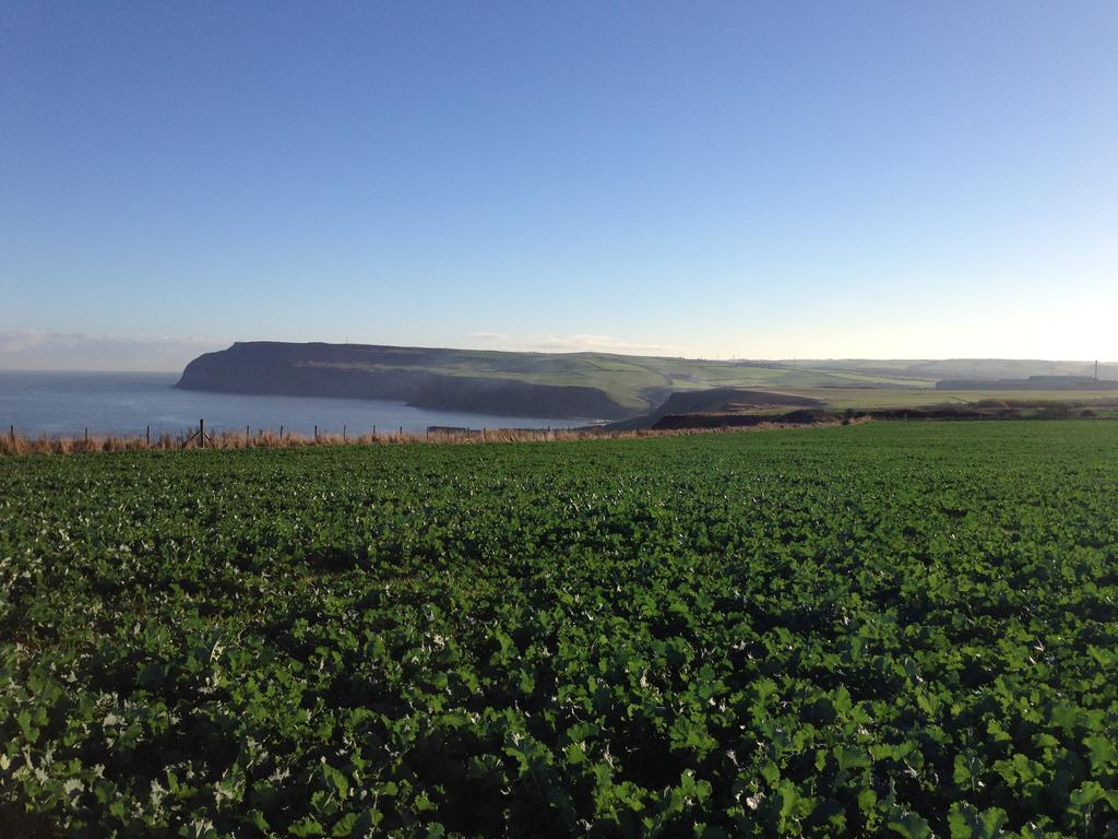 Moonfleet Boutique Hotel Skinningrove Екстериор снимка